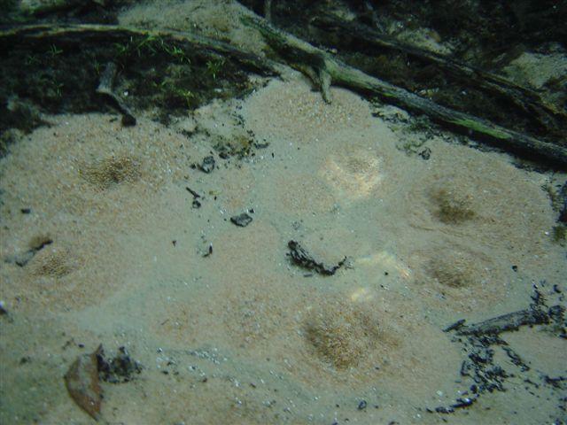 FOTOS 024.jpg